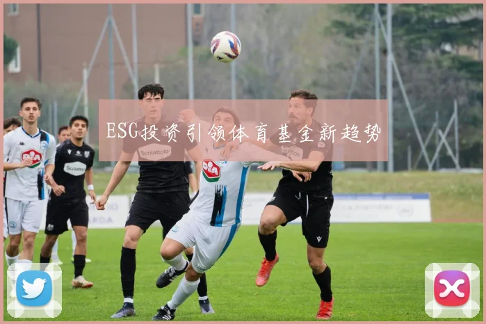ESG投资引领体育基金新趋势