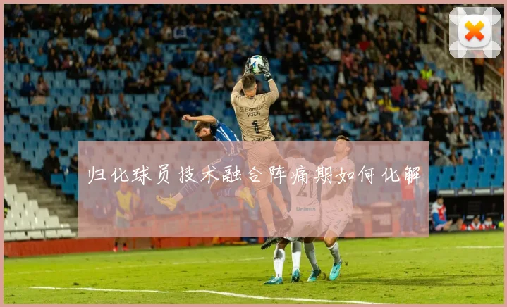 归化球员技术融合阵痛期如何化解