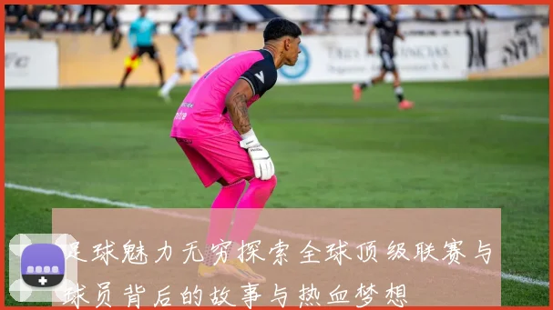 足球魅力无穷探索全球顶级联赛与球员背后的故事与热血梦想