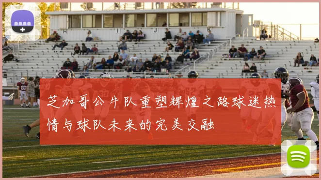 芝加哥公牛队重塑辉煌之路球迷热情与球队未来的完美交融