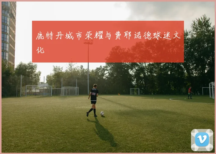鹿特丹城市荣耀与费耶诺德球迷文化
