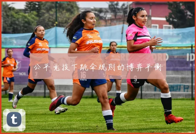 公平竞技下跳伞规则的博弈平衡