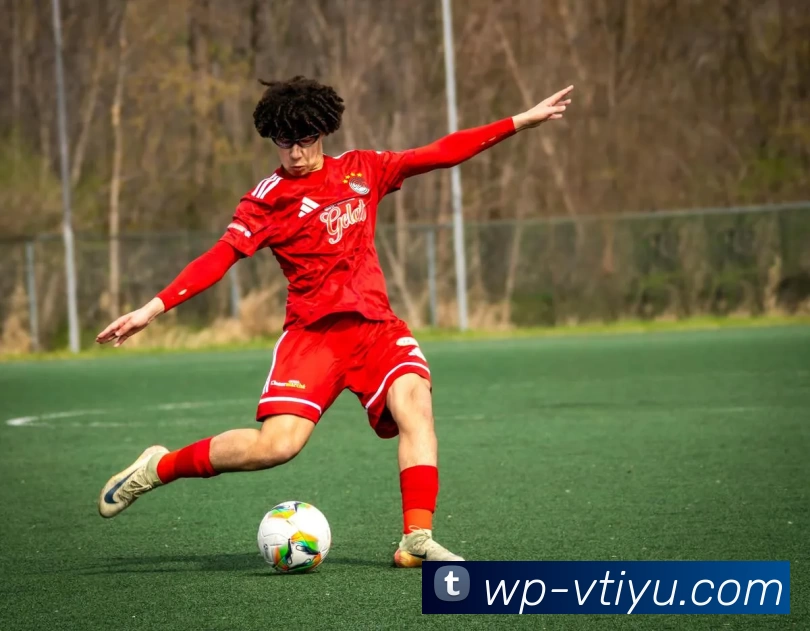 App Interface Preview